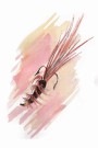 Fluefiskekrok, maleriprint  thumbnail