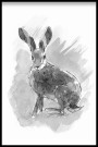 Hare , maleriprint   thumbnail