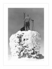 På toppen av Norge , mann på varde , retro fotografi , retro plakat  thumbnail