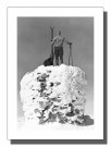 På toppen av Norge , mann på varde , retro fotografi , retro plakat  thumbnail