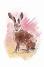 Hare , maleriprint   thumbnail