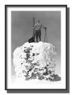 På toppen av Norge , mann på varde , retro fotografi , retro plakat  thumbnail