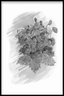 Markjordbær maleriprint thumbnail